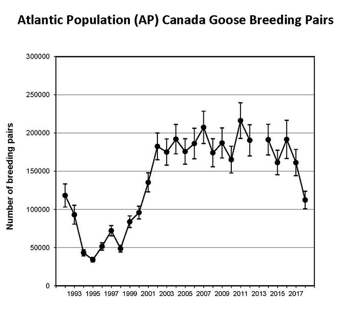 Hunting season, bag limits for migratory Canada geese, mallards to be reduced next year